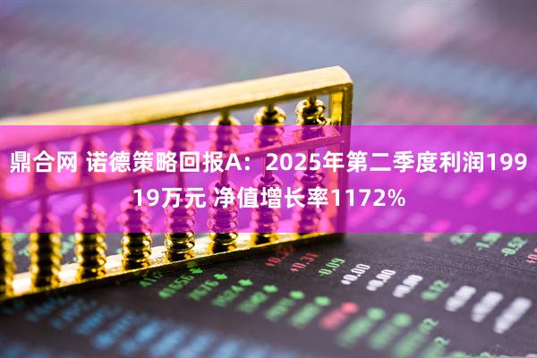 鼎合网 诺德策略回报A：2025年第二季度利润19919万元 净值增长率1172%